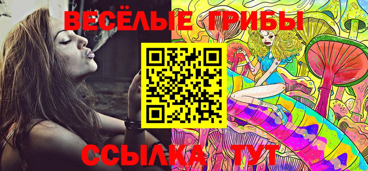 Псилоцибиновые грибы мицелий  Галлюциногенные грибы мухоморы  Вход с VPN  Зеленогорск 